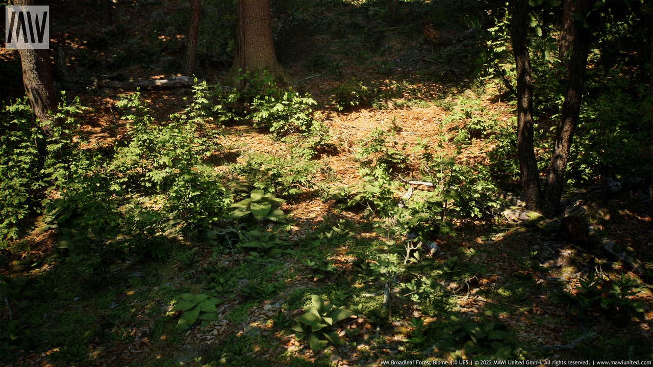 MW Broadleaf Forest Trees Biome