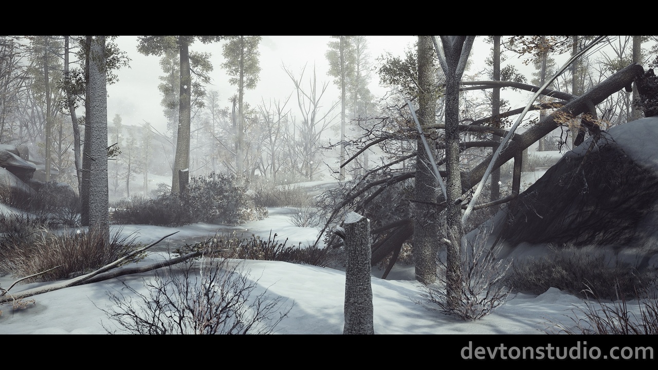 DevTon Winter Landscape