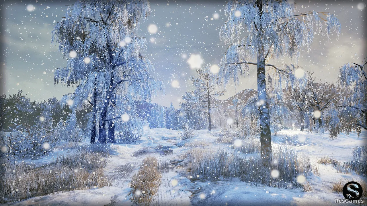 Winter Nature